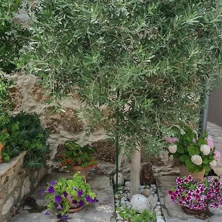 Apartment Paradise Stone Bol
