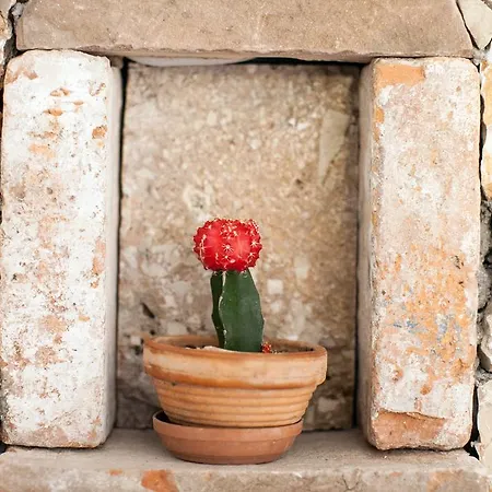 Paradise Stone Bol