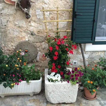 Apartment Paradise Stone Bol