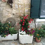 Apartment Paradise Stone Bol
