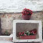 Paradise Stone