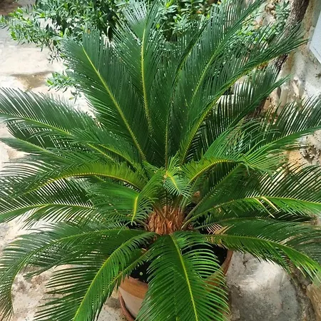 Apartment Paradise Stone Bol