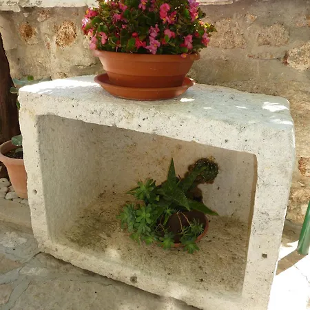 Paradise Stone Bol