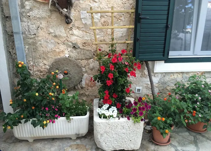 Apartment Paradise Stone Bol